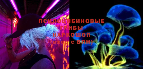 сатива Белокуриха
