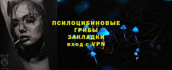 сатива Белокуриха