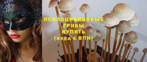 прущий лед Россошь